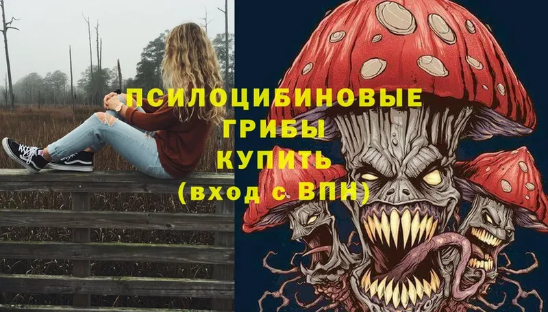 Галлюциногенные грибы MAGIC MUSHROOMS  как найти   Дмитровск 