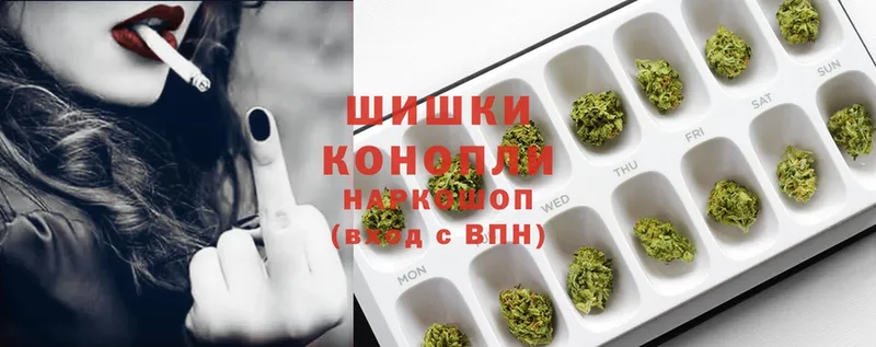 Бошки марихуана THC 21%  Дмитровск 